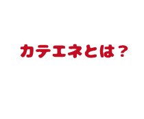 カテエネとは？