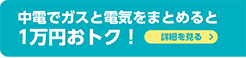 １万円おトク！