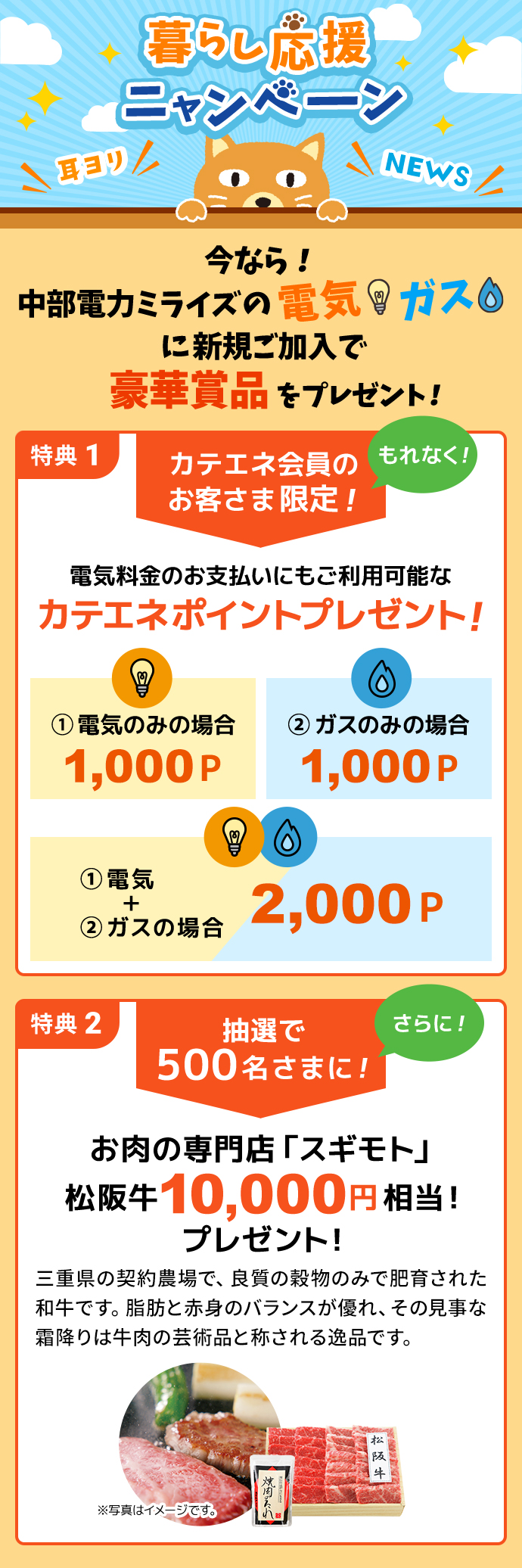 電気 中部エリア 電気 ガスのお手続き カテエネ