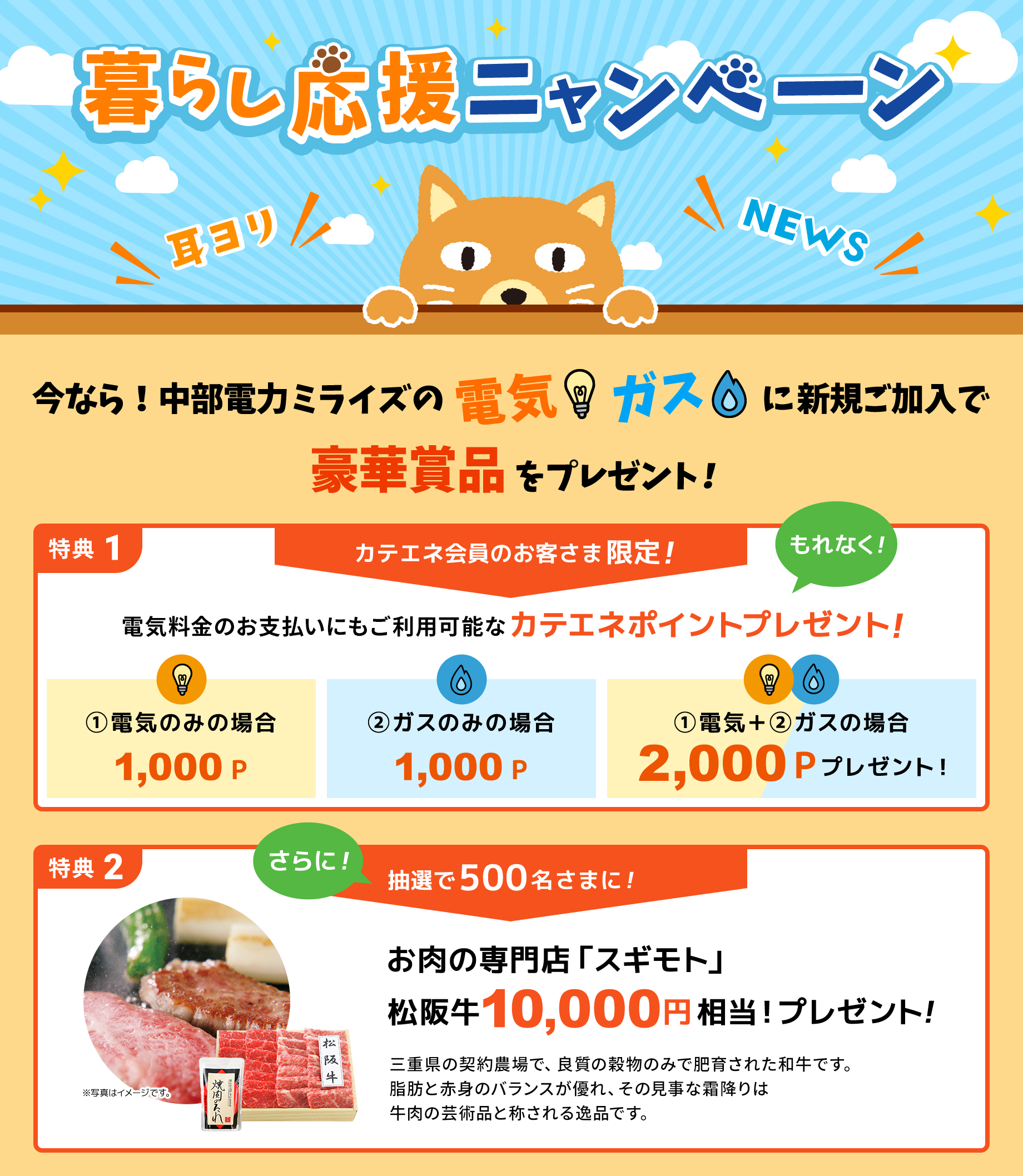 電気 ガスのお手続き カテエネ 家庭向けweb会員サービス