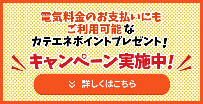 電気 ガスのお手続き カテエネ 家庭向けweb会員サービス